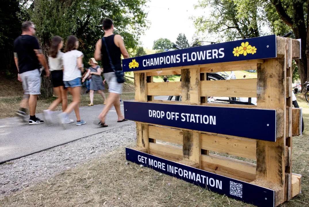 Work Sample Slideshow